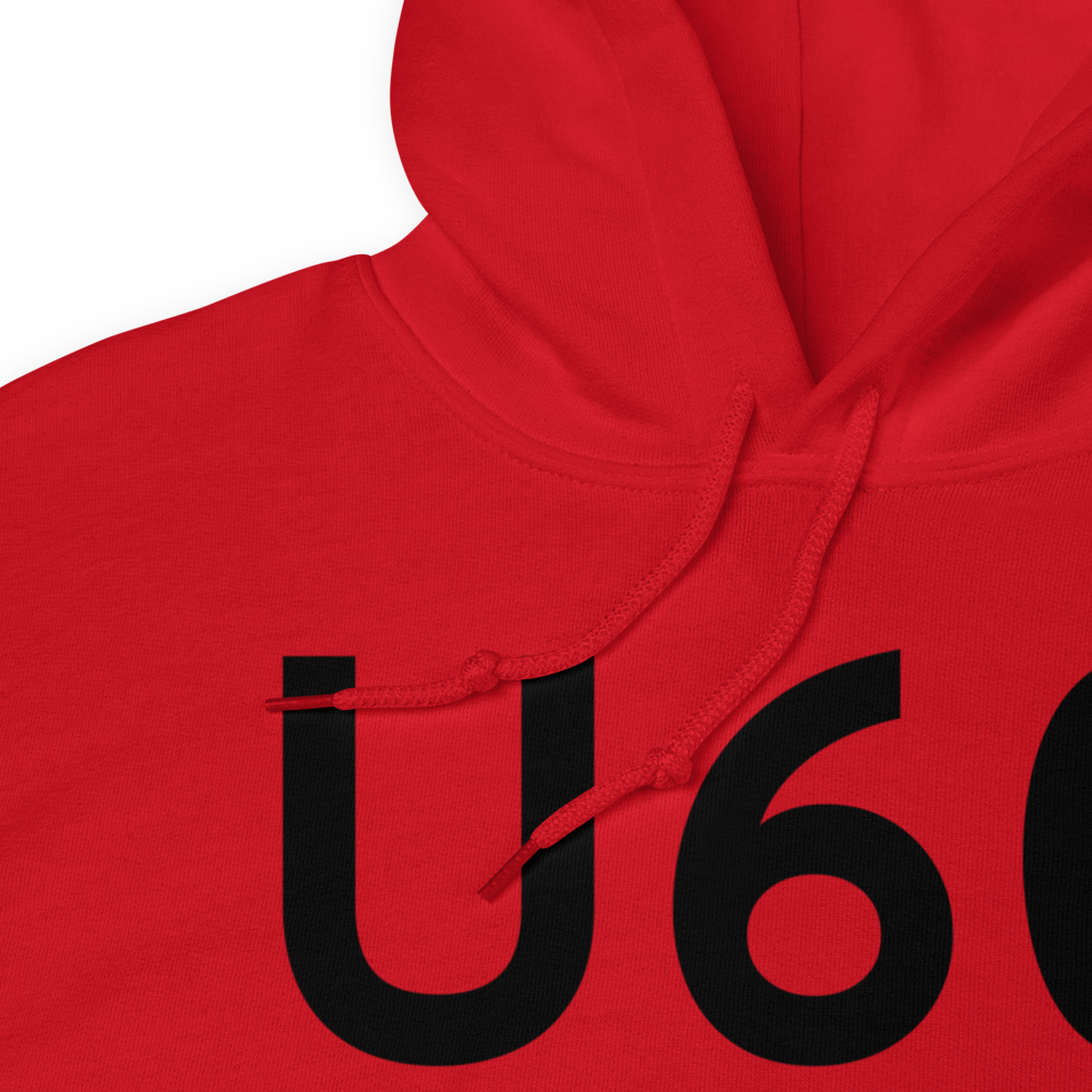 Big Creek (U60) Airport Hoodie Sweatshirt 
