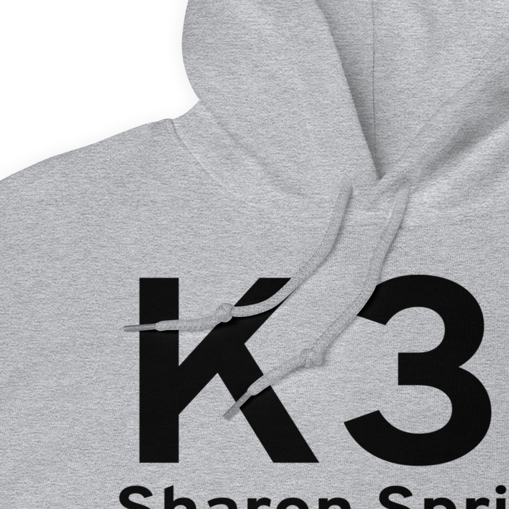 Sharon Springs (K31) Airport Hoodie Sweatshirt 