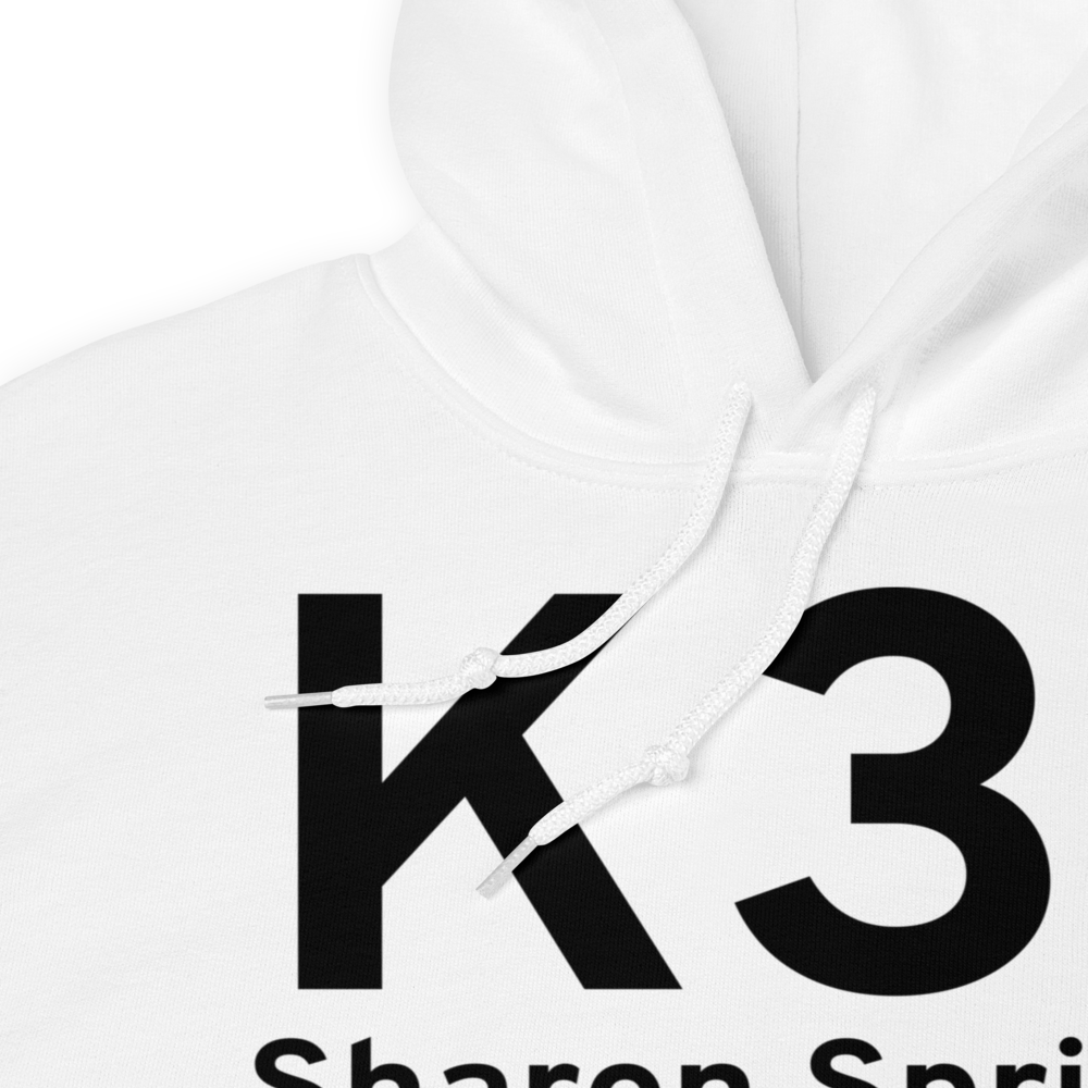 Sharon Springs (K31) Airport Hoodie Sweatshirt 