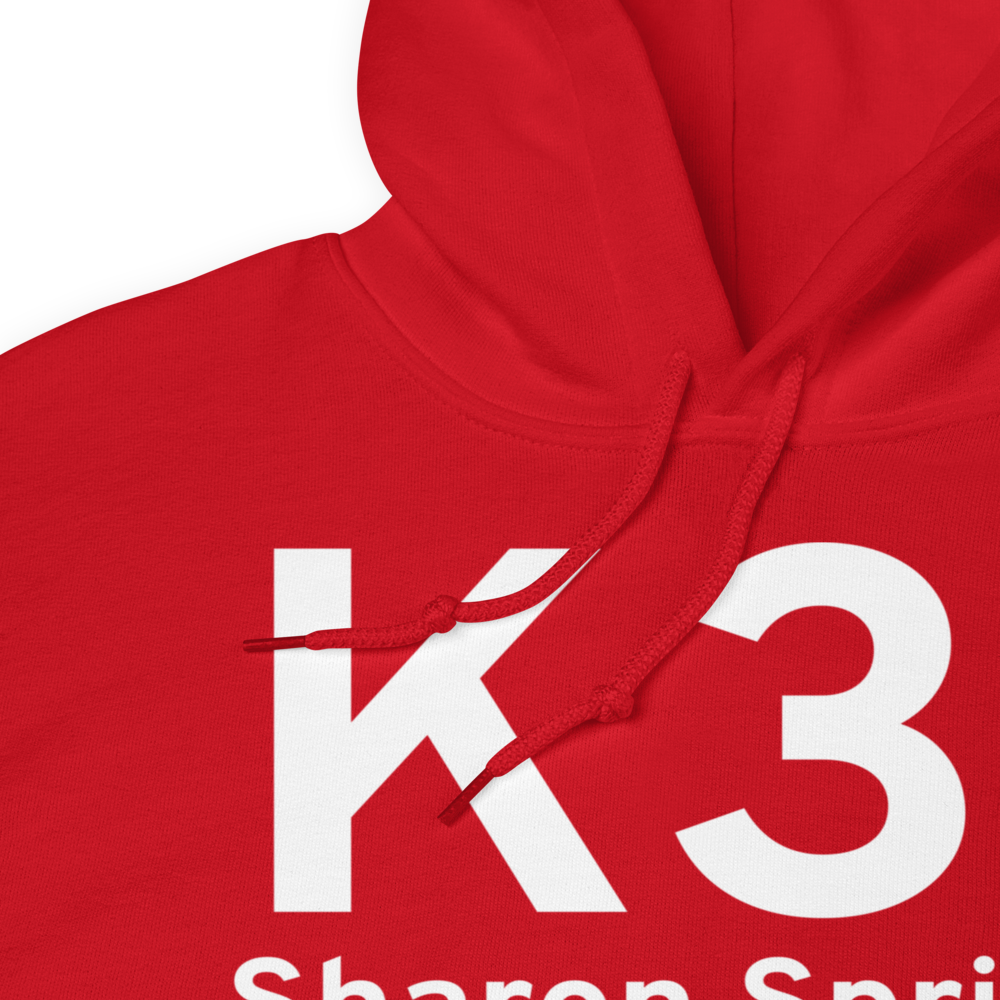 Sharon Springs (K31) Airport Hoodie Sweatshirt 