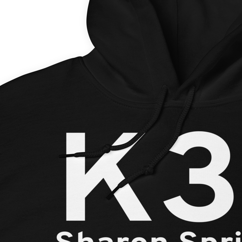 Sharon Springs (K31) Airport Hoodie Sweatshirt 