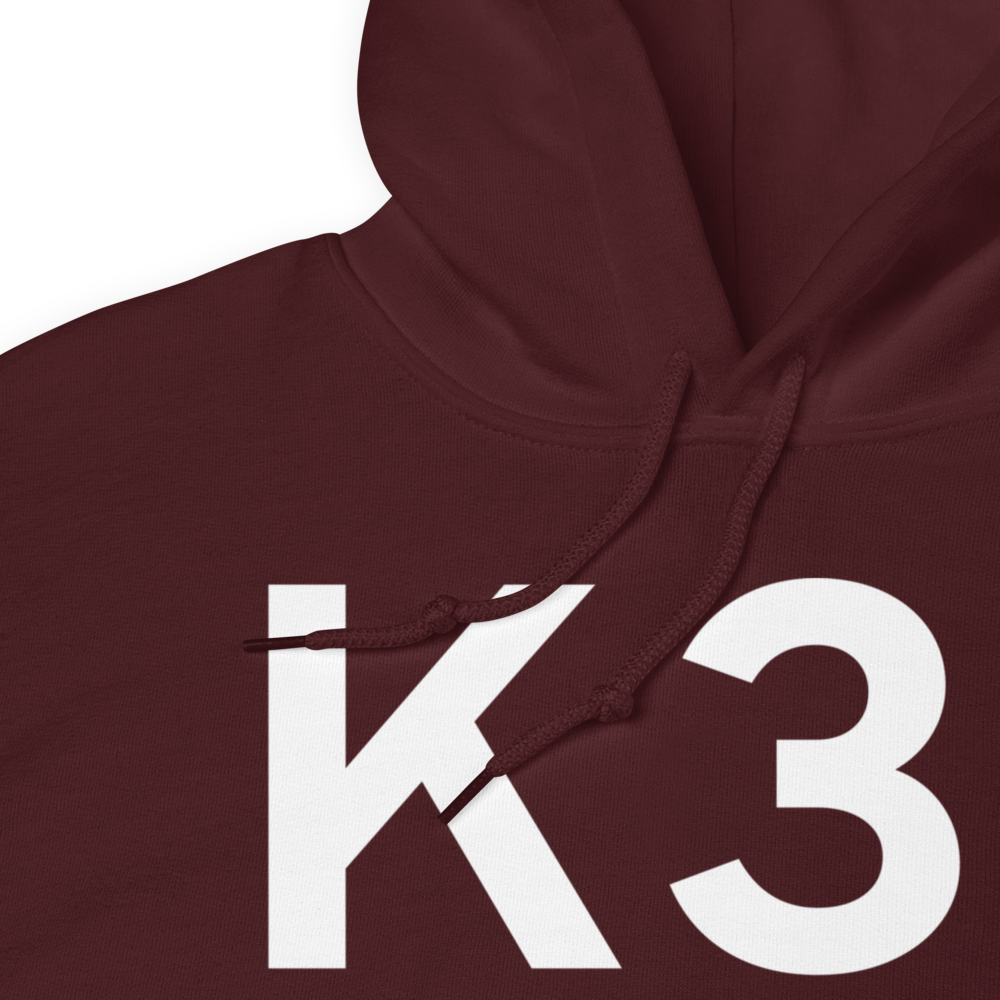 Sharon Springs (K31) Airport Hoodie Sweatshirt 