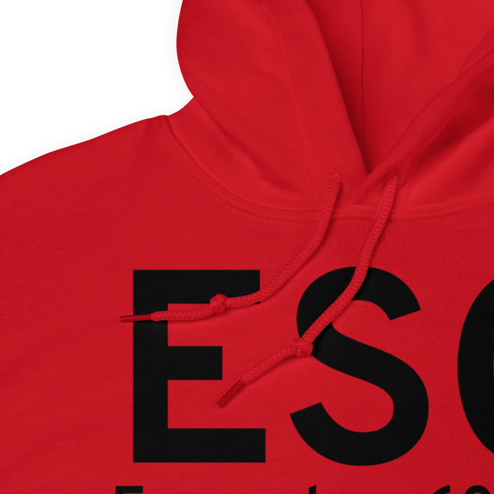 Escanaba (KESC) Airport Hoodie Sweatshirt 
