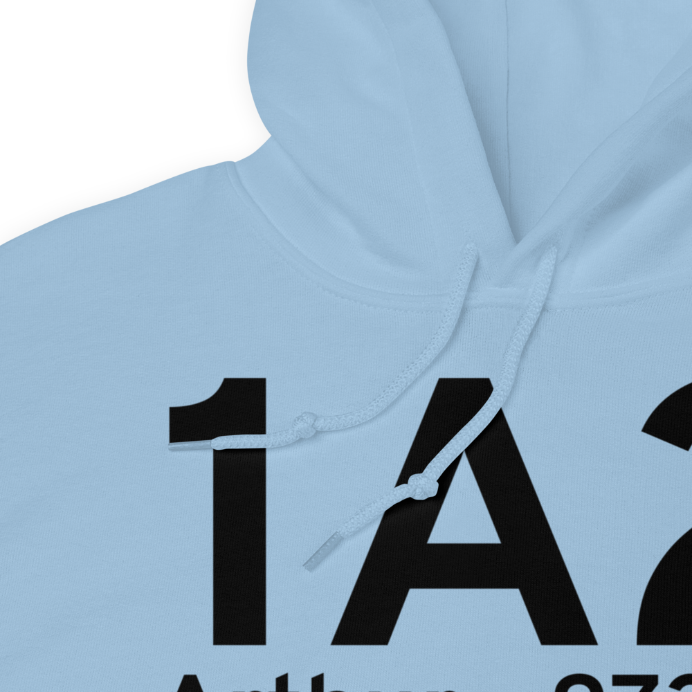 Arthur (1A2) Airport Hoodie Sweatshirt 
