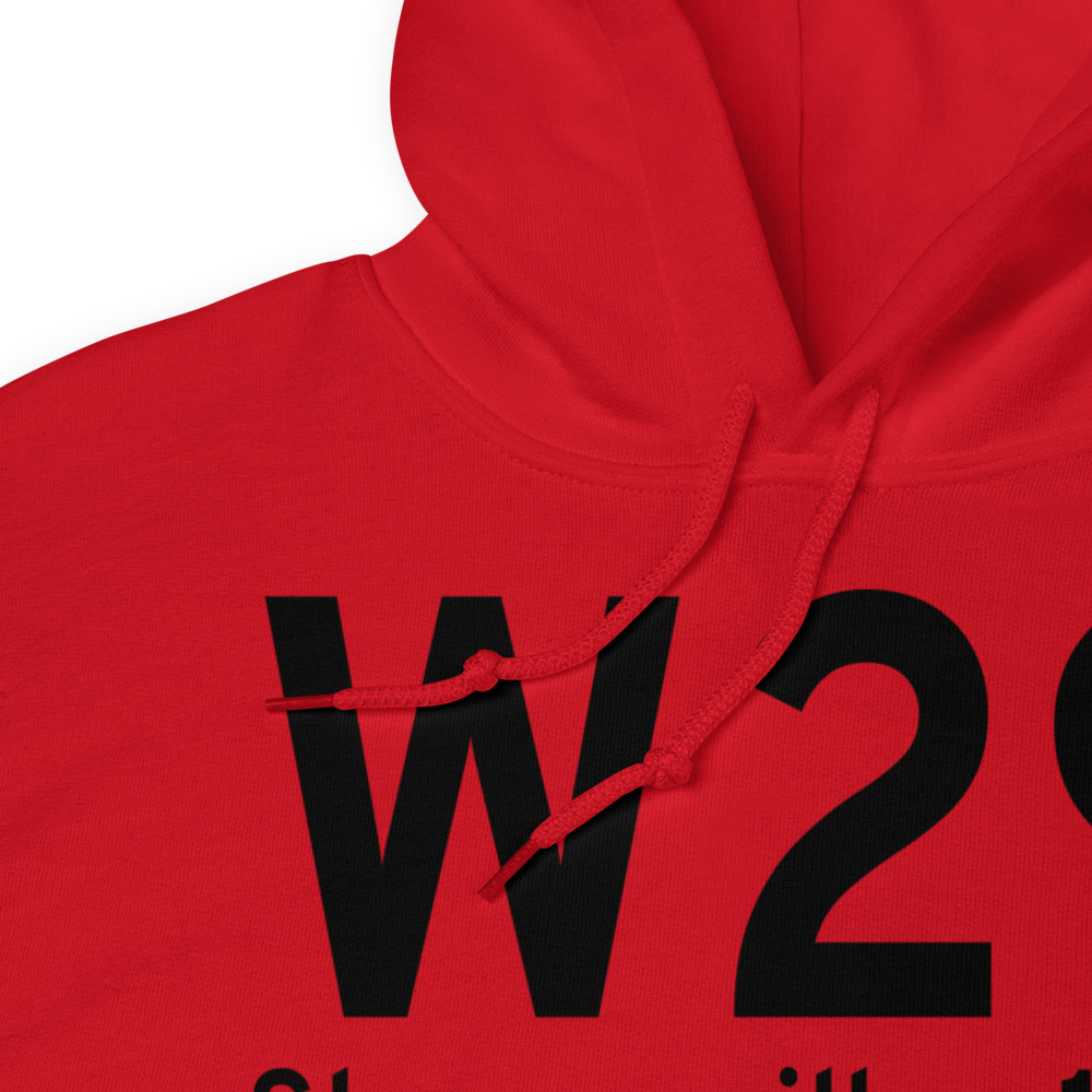 Stevensville (W29) Airport Hoodie Sweatshirt 