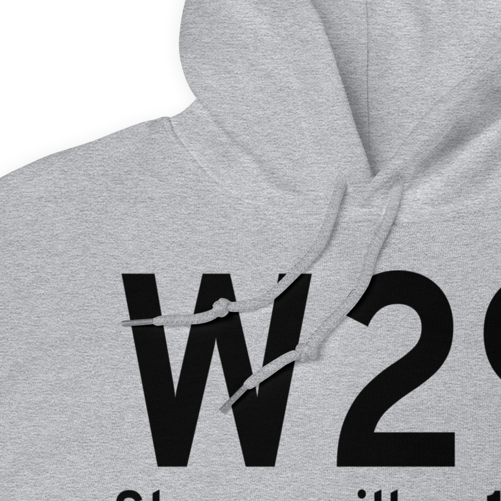Stevensville (W29) Airport Hoodie Sweatshirt 