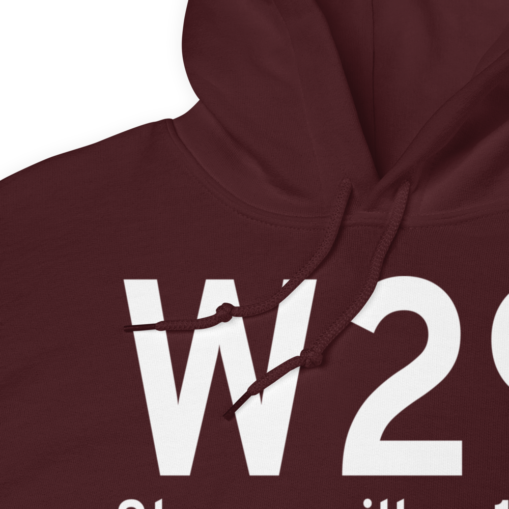 Stevensville (W29) Airport Hoodie Sweatshirt 