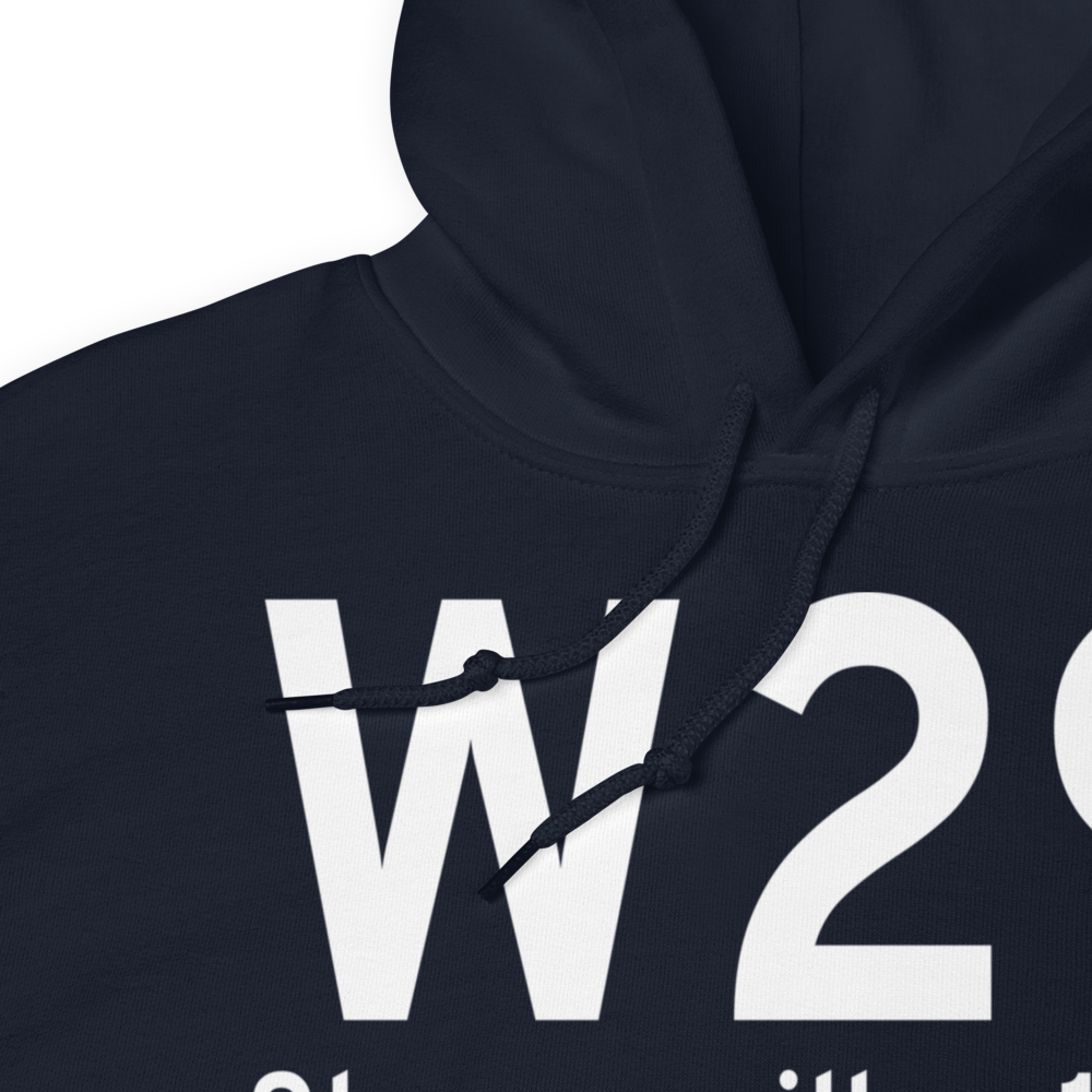Stevensville (W29) Airport Hoodie Sweatshirt 