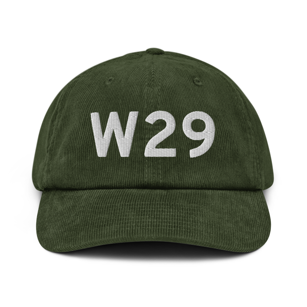 Stevensville (W29) Airport Hat 