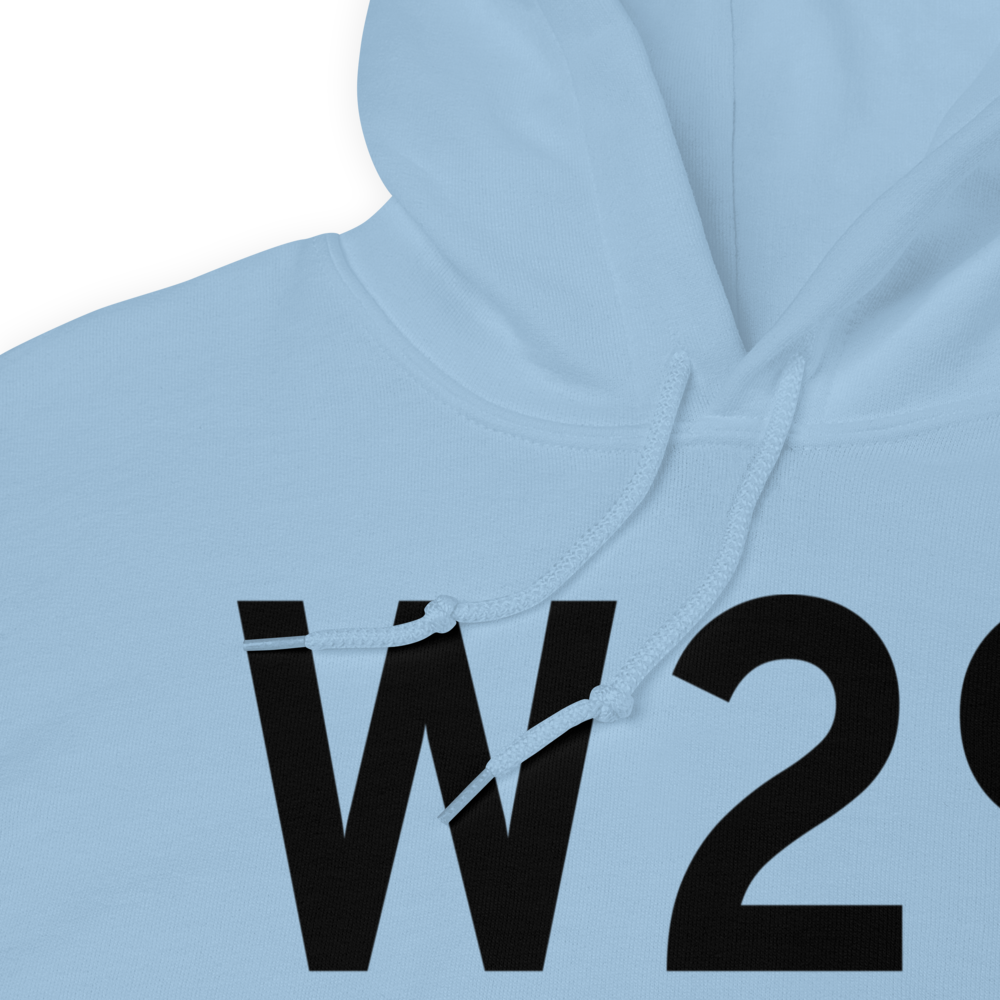 Stevensville (W29) Airport Hoodie Sweatshirt 