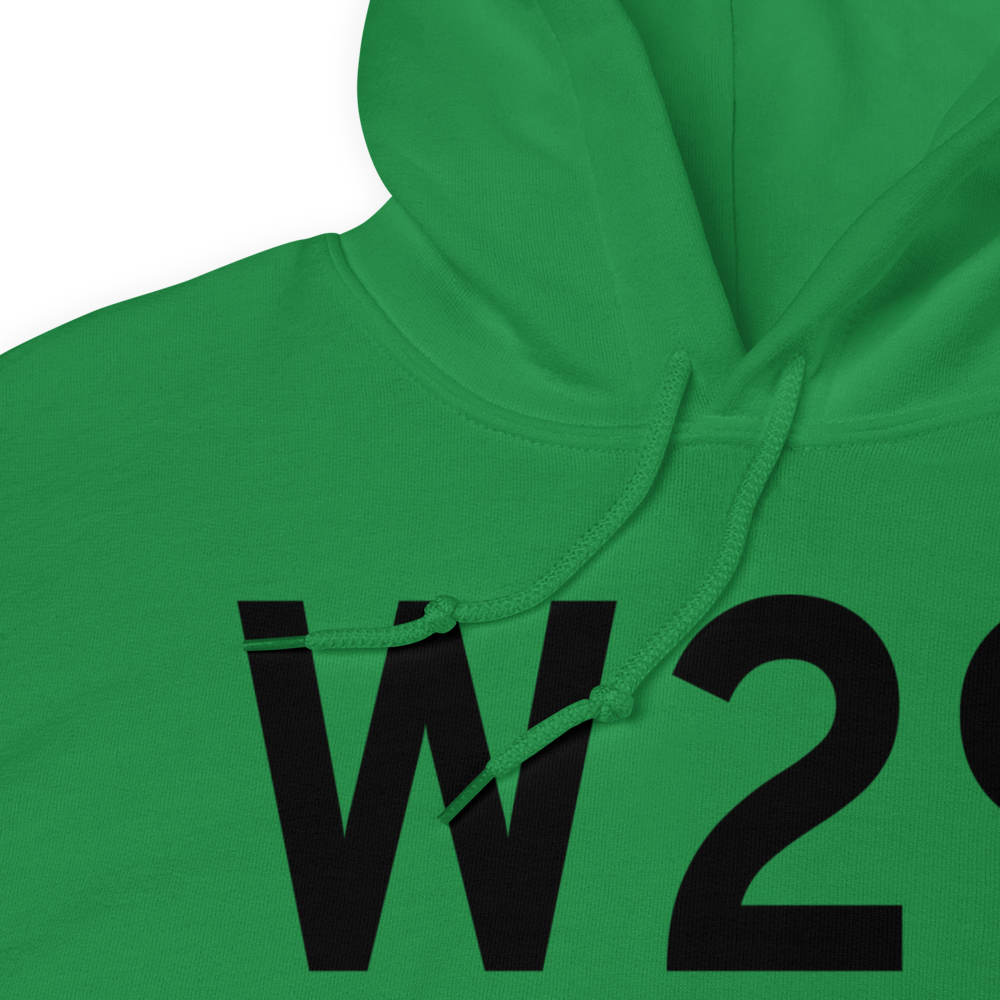 Stevensville (W29) Airport Hoodie Sweatshirt 