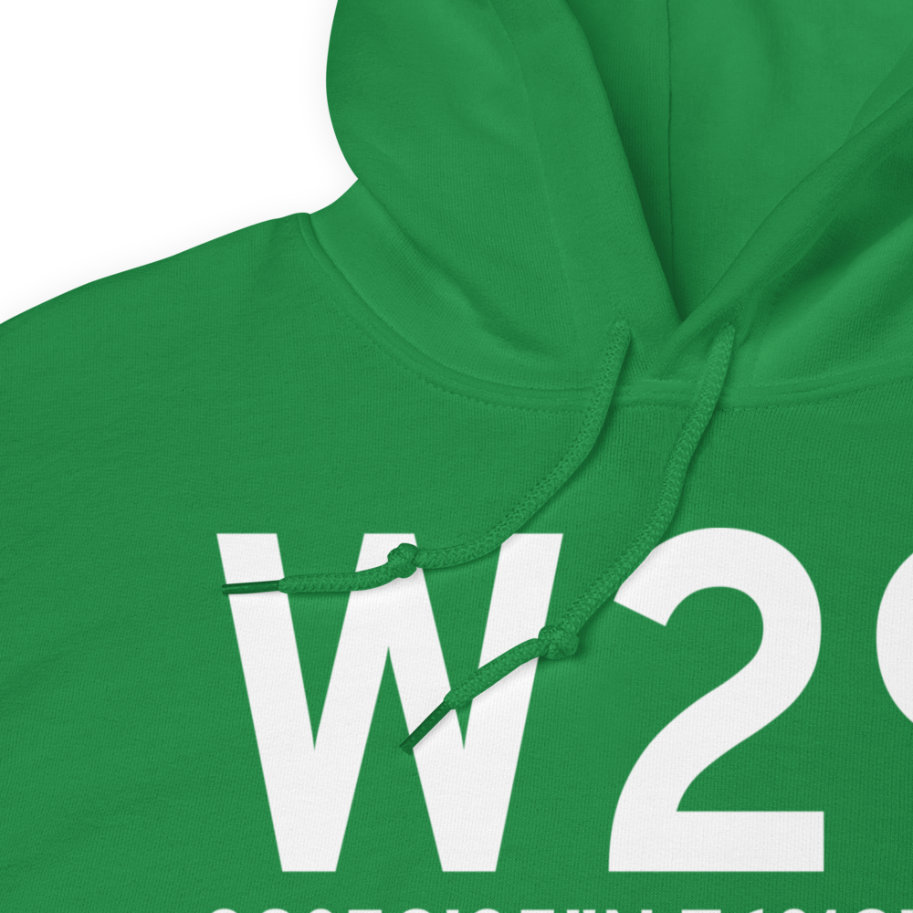 Stevensville (W29) Airport Hoodie Sweatshirt 