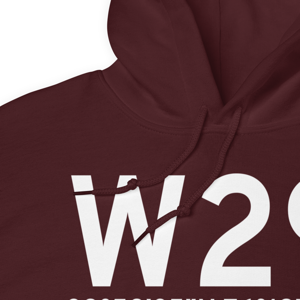 Stevensville (W29) Airport Hoodie Sweatshirt 
