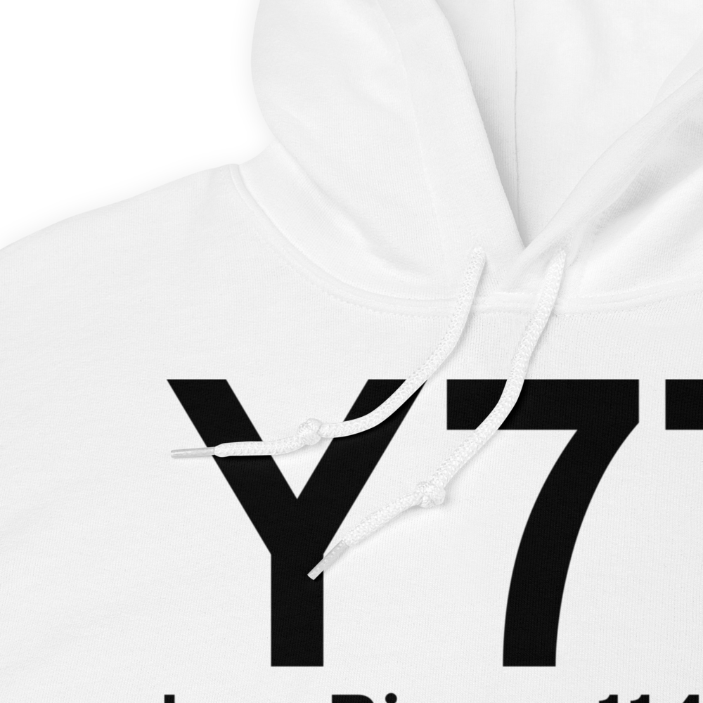 Iron River (Y77) Airport Hoodie Sweatshirt 