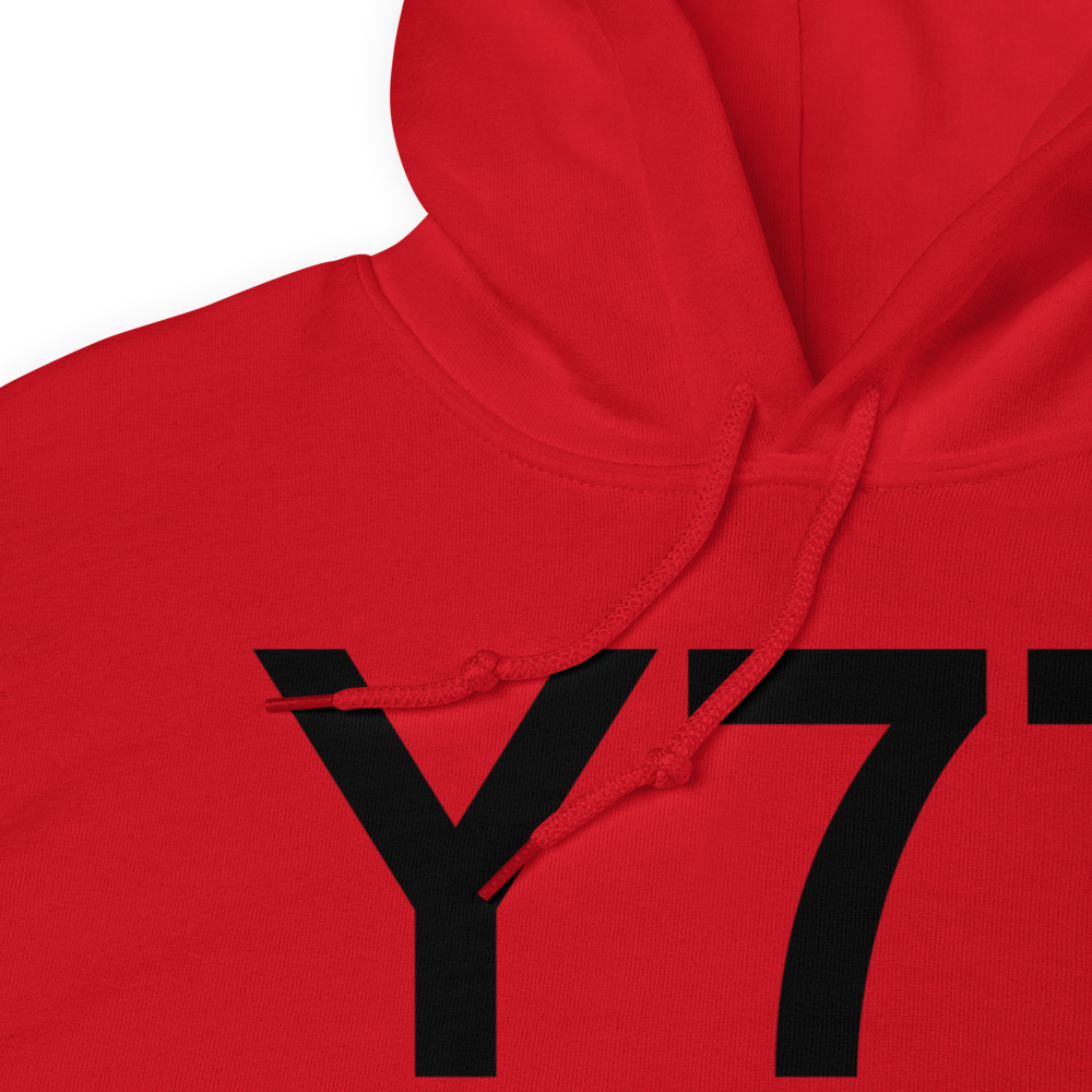 Iron River (Y77) Airport Hoodie Sweatshirt 