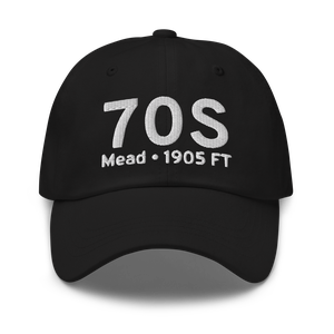 Mead (70S) Airport Hat