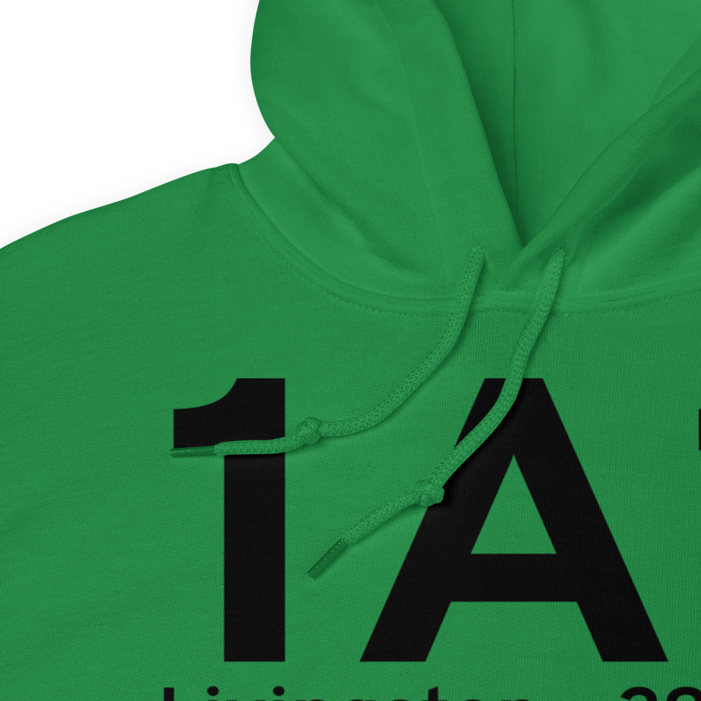 Livingston (1A1) Airport Hoodie Sweatshirt 