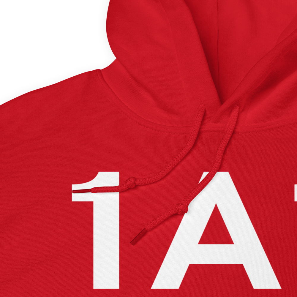 Livingston (1A1) Airport Hoodie Sweatshirt 