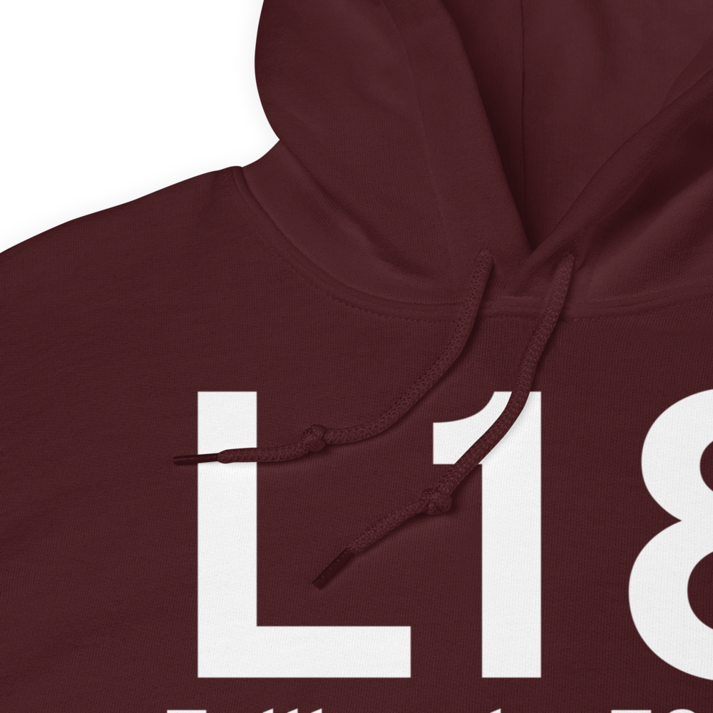 Fallbrook (L18) Airport Hoodie Sweatshirt 