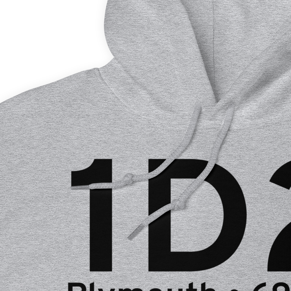 Plymouth (1D2) Airport Hoodie Sweatshirt 