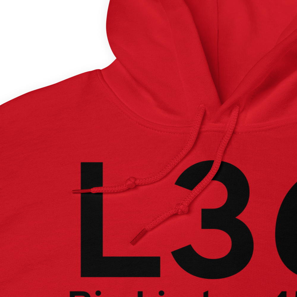 Rio Linda (L36) Airport Hoodie Sweatshirt 
