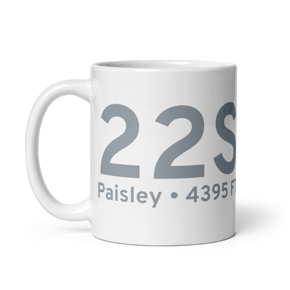 Paisley (K22S) Airport Mug 