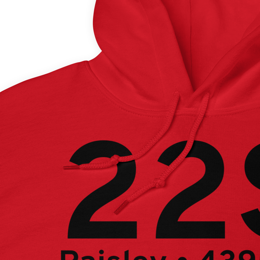 Paisley (K22S) Airport Hoodie Sweatshirt 