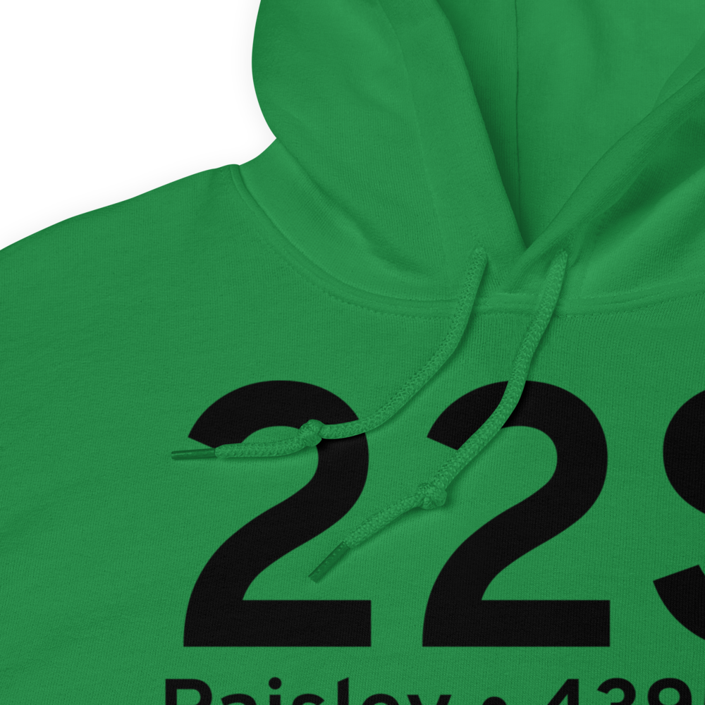 Paisley (K22S) Airport Hoodie Sweatshirt 