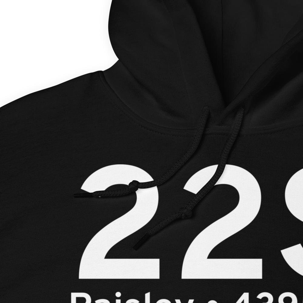 Paisley (K22S) Airport Hoodie Sweatshirt 