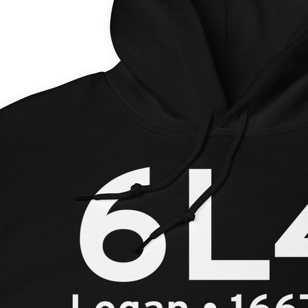 Logan (K6L4) Airport Hoodie Sweatshirt 