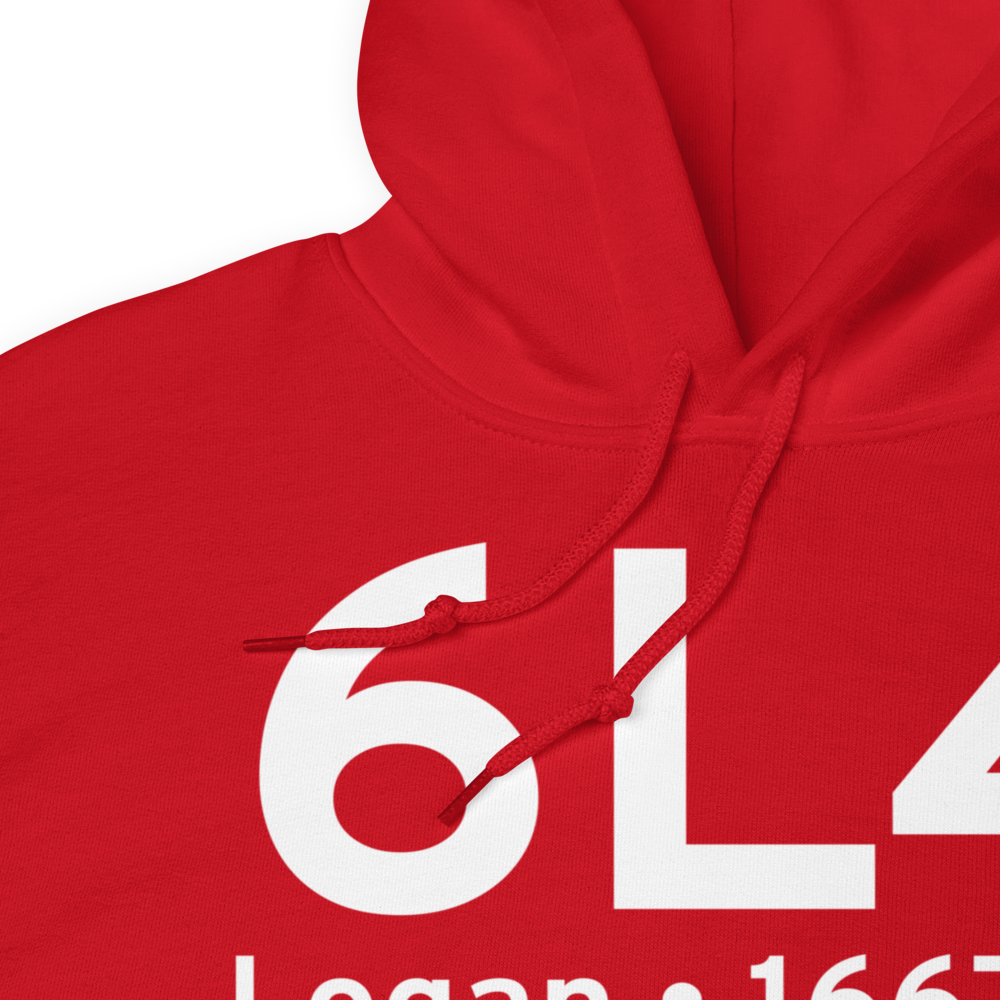 Logan (K6L4) Airport Hoodie Sweatshirt 