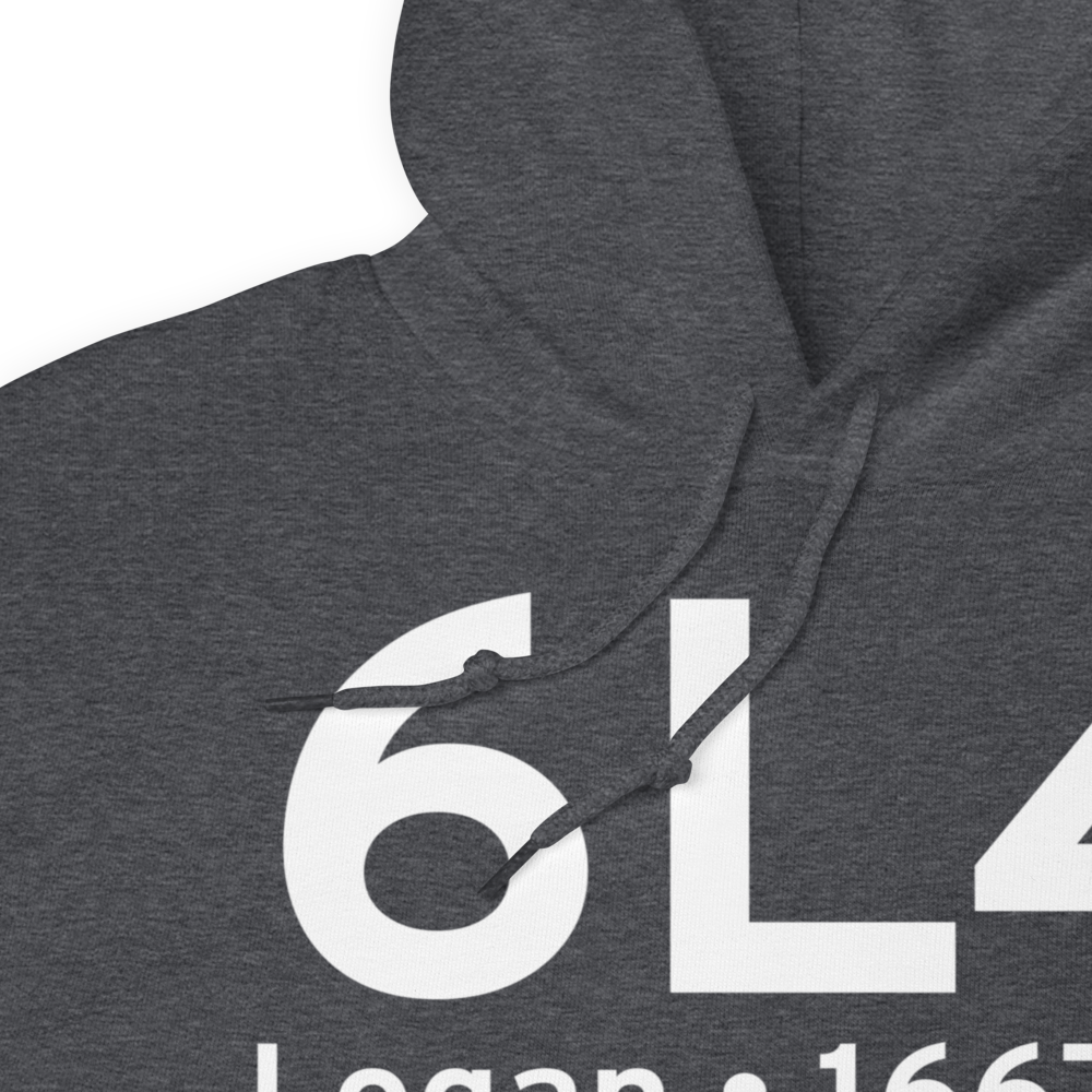 Logan (K6L4) Airport Hoodie Sweatshirt 