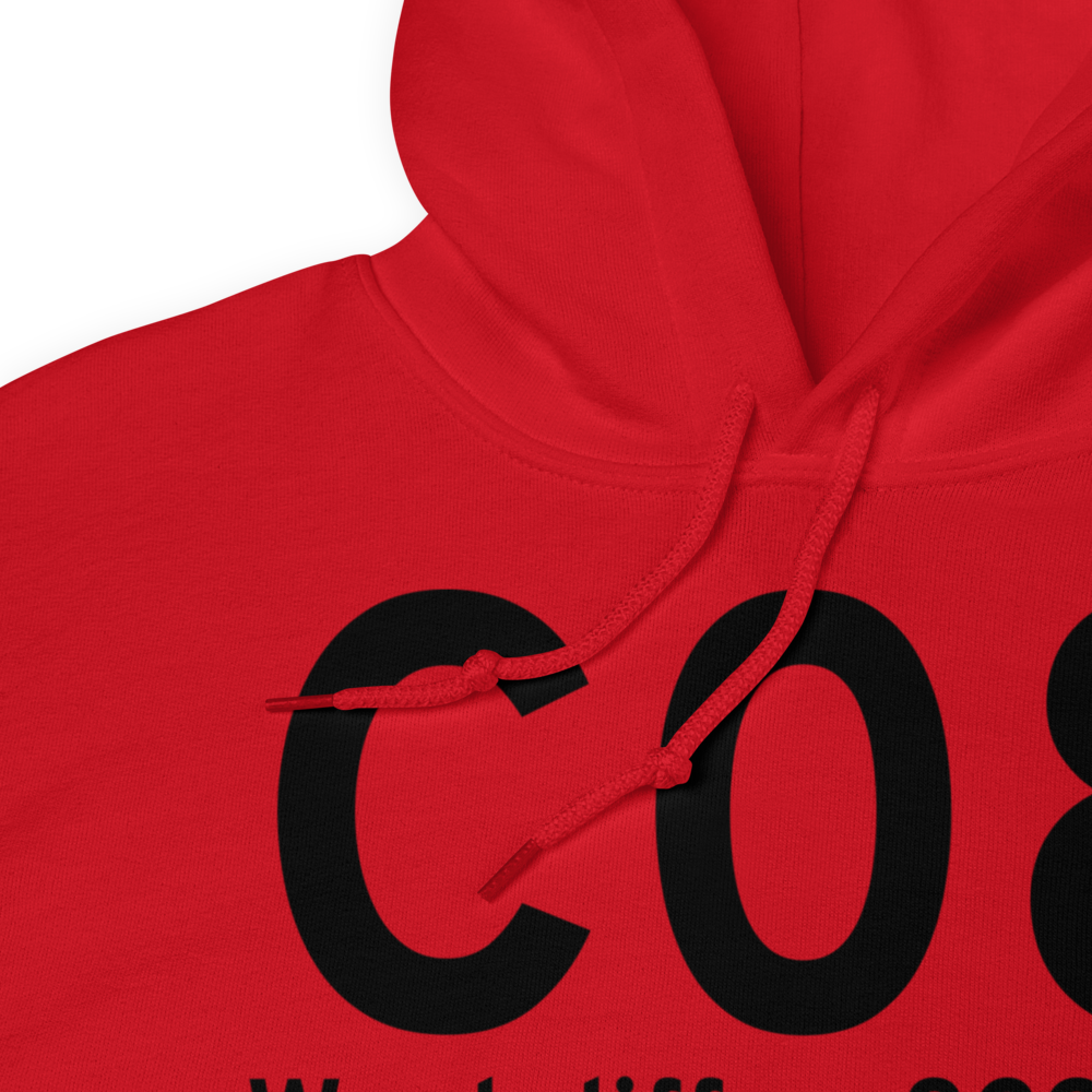 Westcliffe (KC08) Airport Hoodie Sweatshirt 