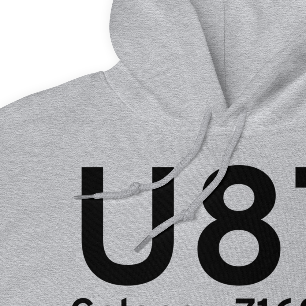 Galena (U87) Airport Hoodie Sweatshirt 