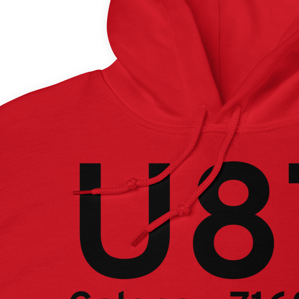 Galena (U87) Airport Hoodie Sweatshirt 
