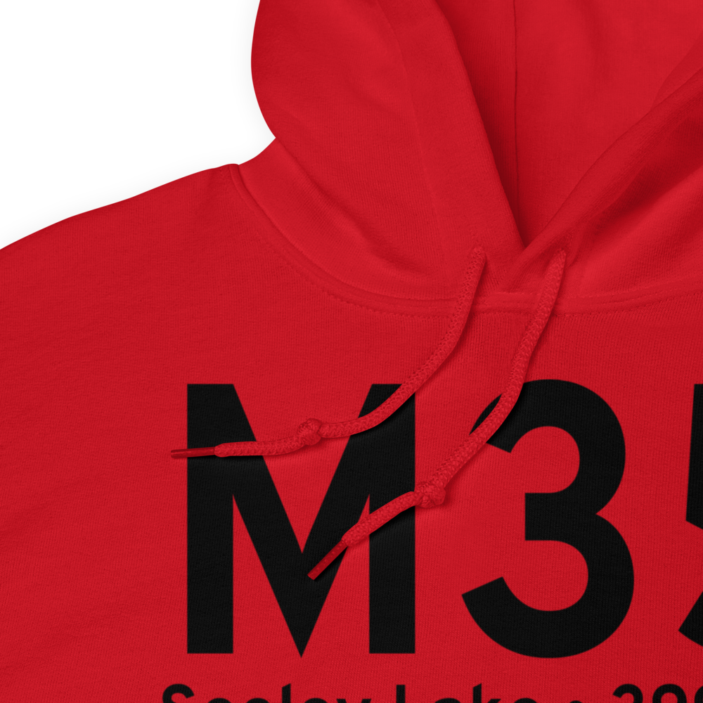 Seeley Lake (M35) Airport Hoodie Sweatshirt 