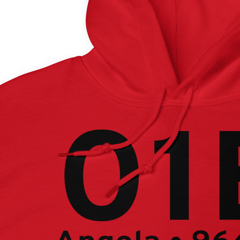 Angola (6IN9) Airport Hoodie Sweatshirt 