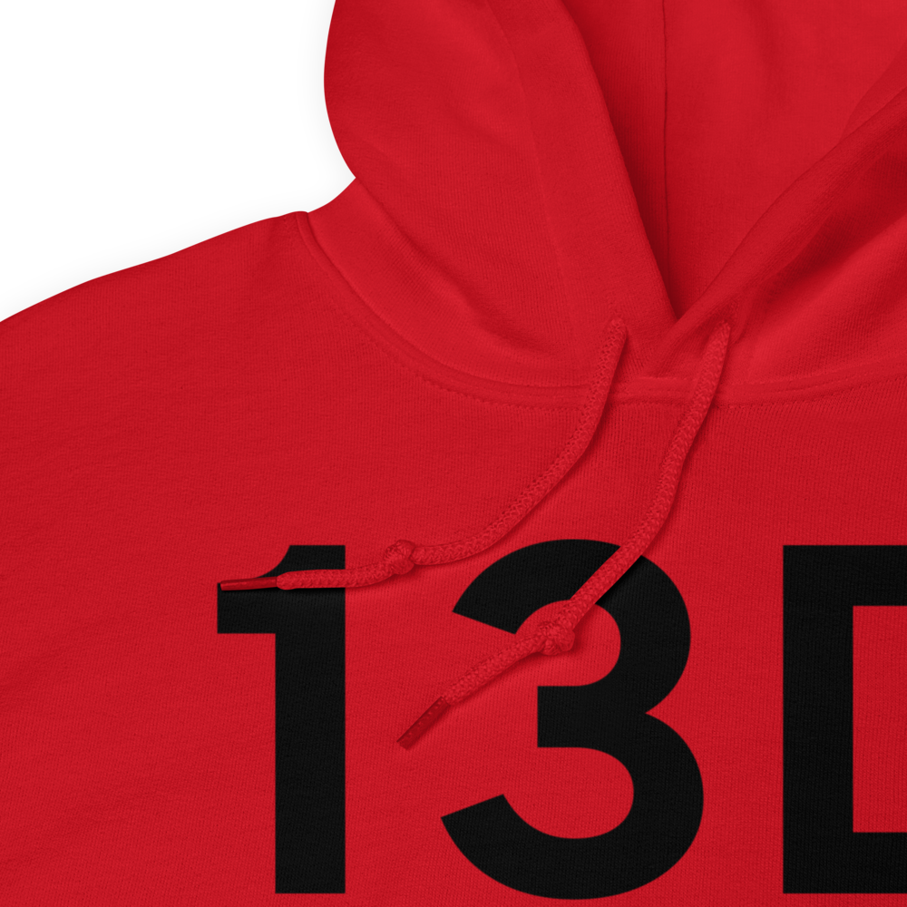 Highland (13D) Airport Hoodie Sweatshirt 