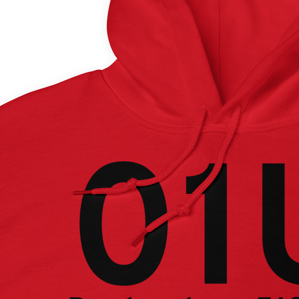 Duckwater (01U) Airport Hoodie Sweatshirt 