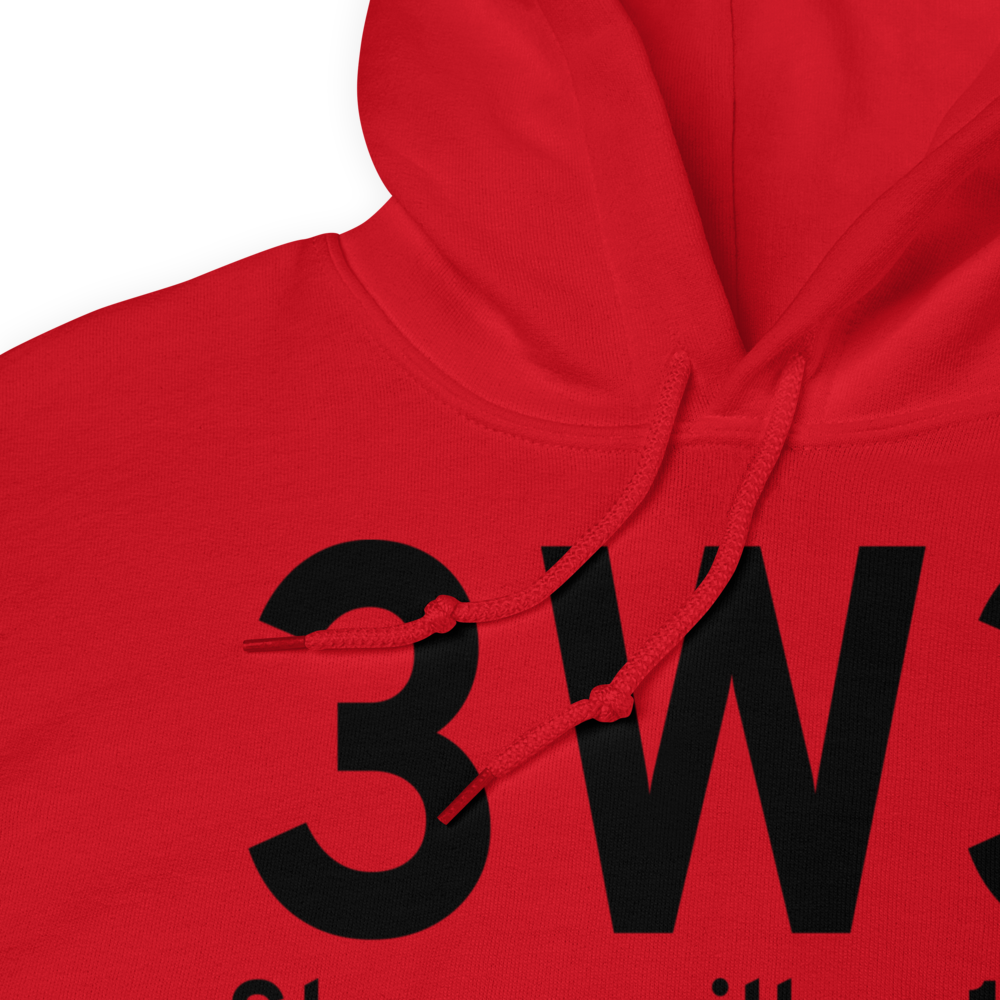 Stevensville (3W3) Airport Hoodie Sweatshirt 