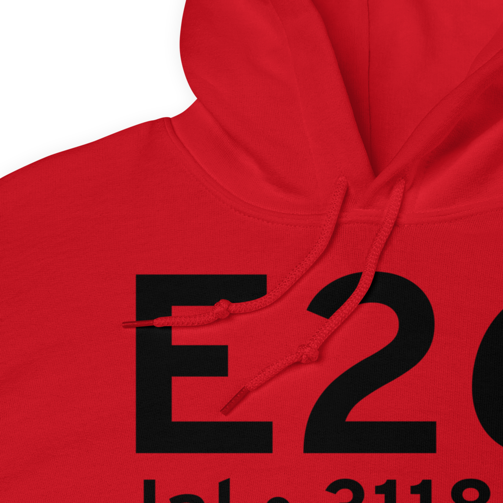 Jal (KE26) Airport Hoodie Sweatshirt 