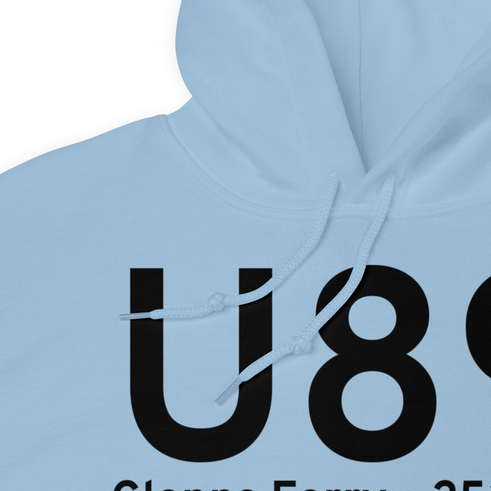 Glenns Ferry (KU89) Airport Hoodie Sweatshirt 