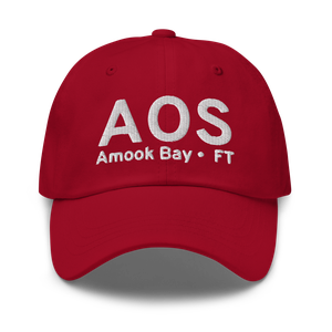 Amook Bay (AK81) Airport Hat