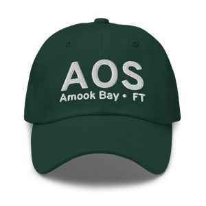 Amook Bay (AK81) Airport Hat