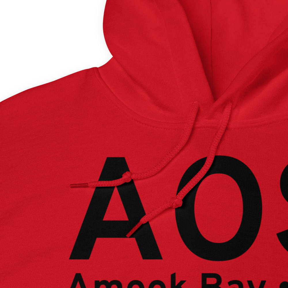 Amook Bay (AK81) Airport Hoodie Sweatshirt 