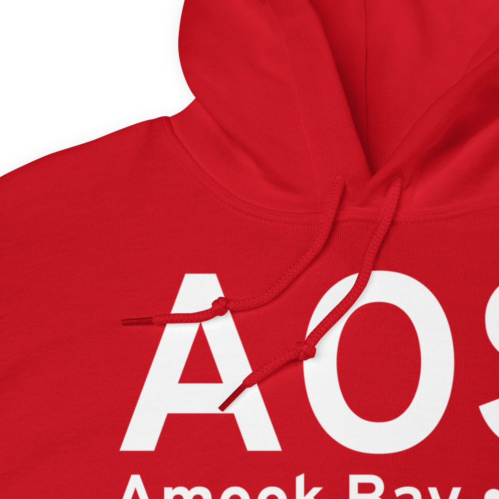 Amook Bay (AK81) Airport Hoodie Sweatshirt 