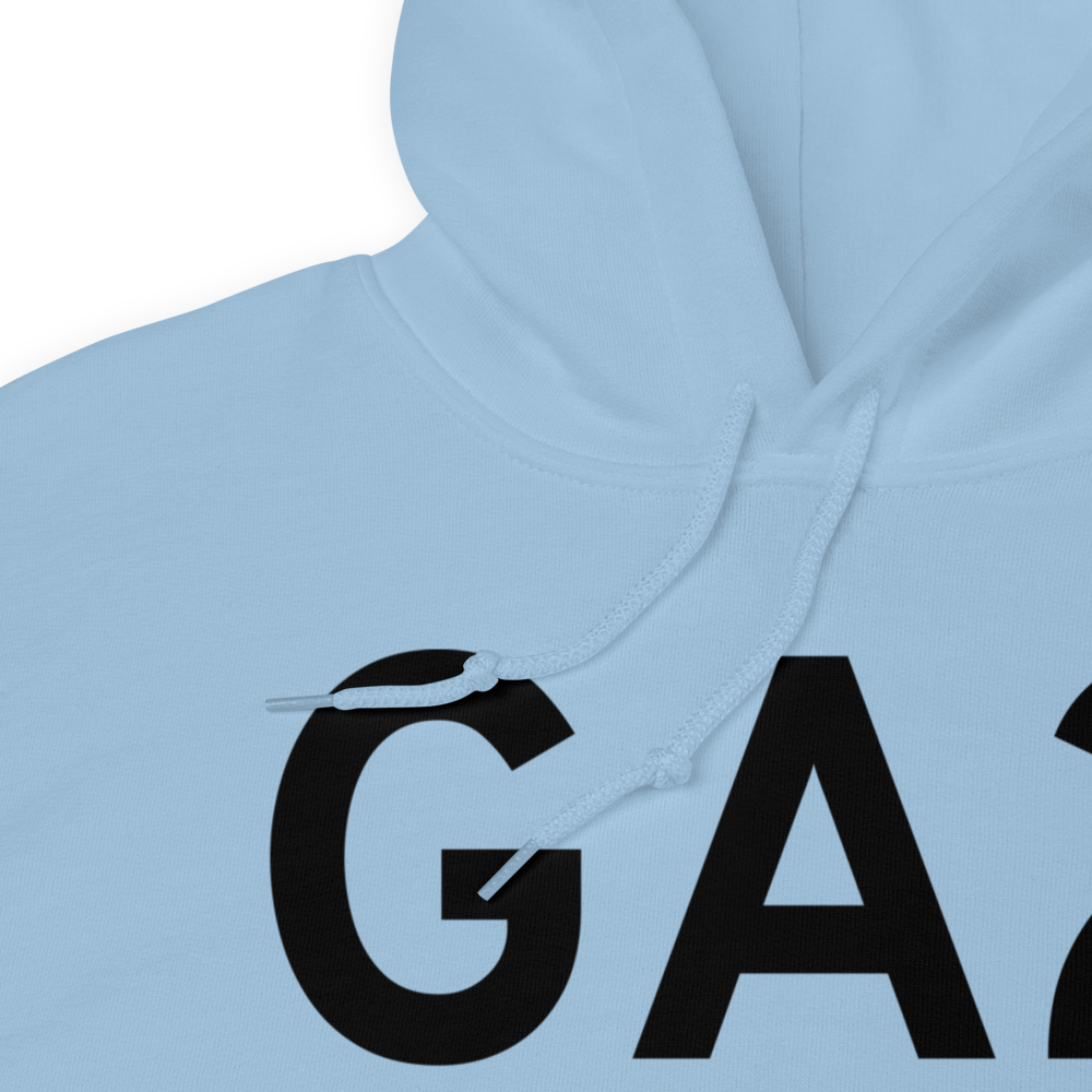 Williamson (GA2) Airport Hoodie Sweatshirt 