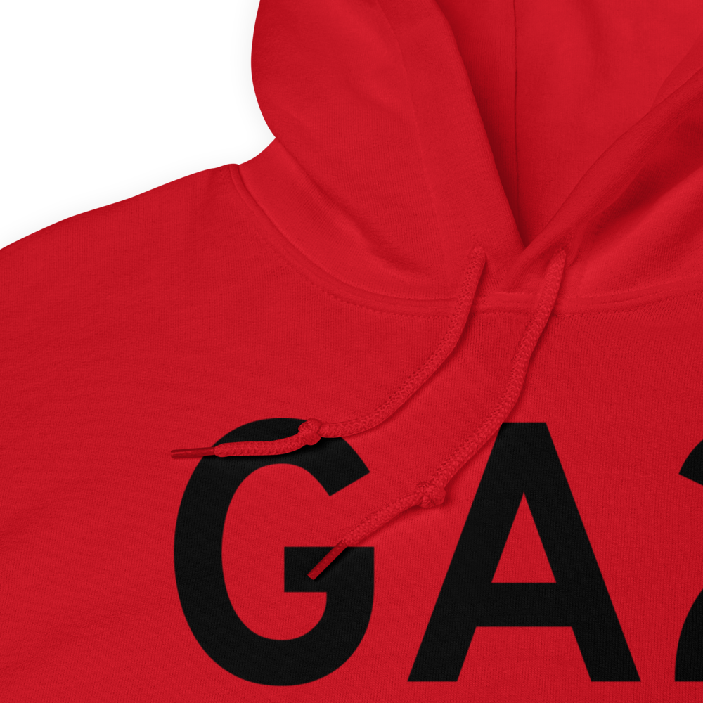 Williamson (GA2) Airport Hoodie Sweatshirt 