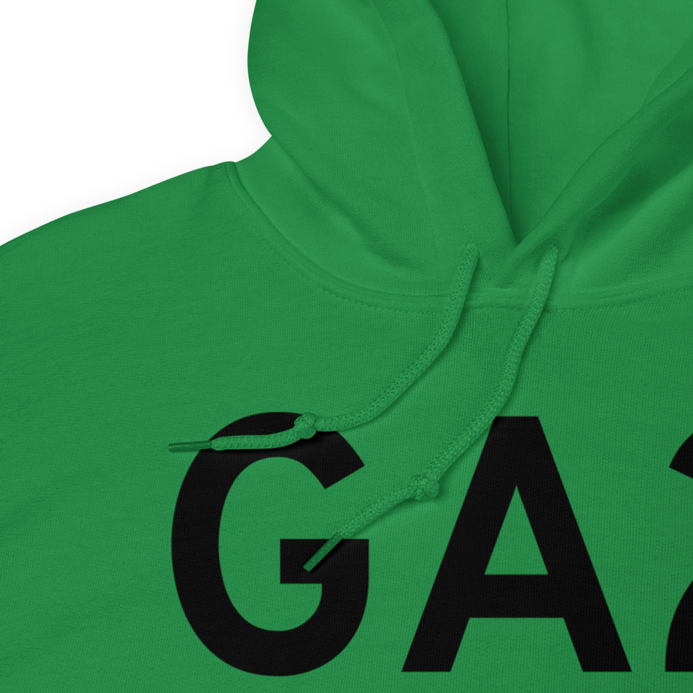 Williamson (GA2) Airport Hoodie Sweatshirt 