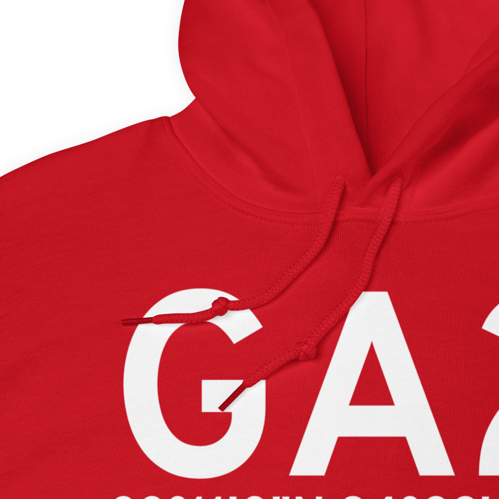 Williamson (GA2) Airport Hoodie Sweatshirt 